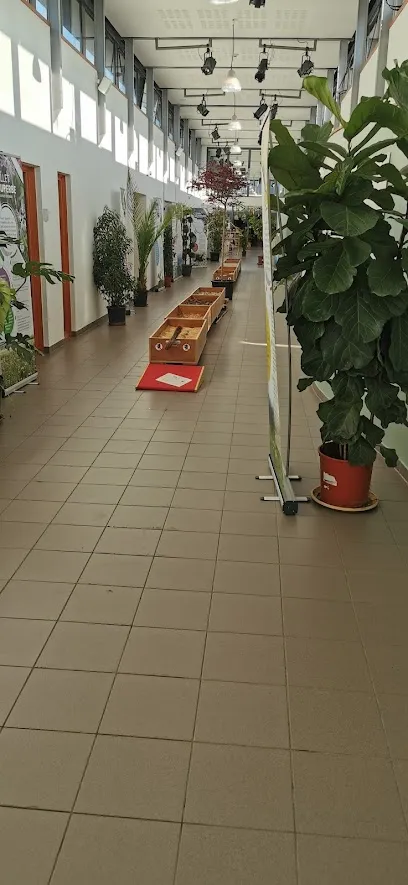 Image de La Passerelle - Le Trèfle