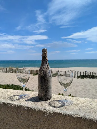 Image de Plage naturiste Port Leucate (FFN FNI)