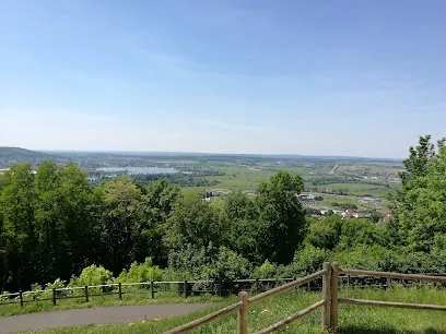 Image de The Jungle Run